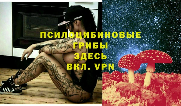 соль ск Гусев