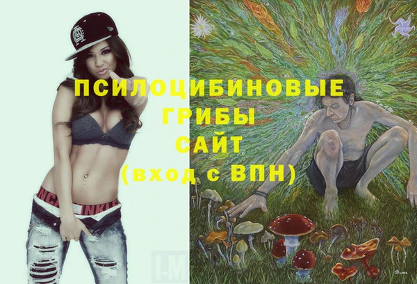 соль ск Гусев