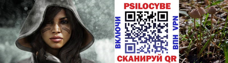 Псилоцибиновые грибы Psilocybine cubensis  купить наркотики сайты  Донецк 